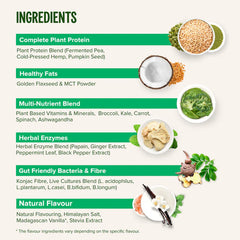 All-In-One Meal WHOLE Plant Based Nutritional Shake - 1KG / 25 SERVINGS